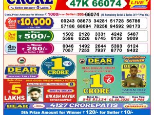 Lottery Sambad 8 PM Result Today 08/11/2025 Dear Night Live