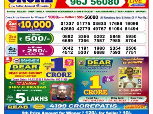 Lottery Sambad 8 PM Result Today 14/12/2025 Dear Night Live